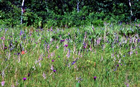 �A��������