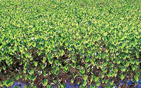 �A��������/�~�c�K�V��