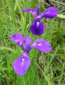 �����������c��E�J�L�c�o�^