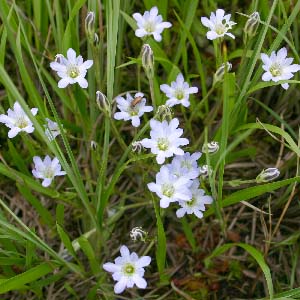 �����������c��E�^�e���}�����h�E