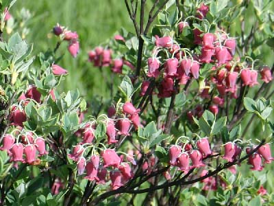 ����������c��E�E���W�����E���N