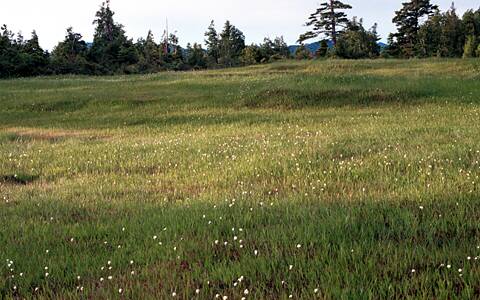 �����x/�L��c��