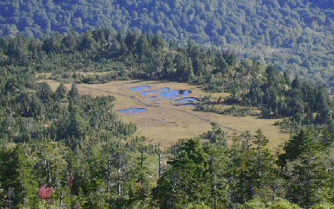 �����x/�L��c��