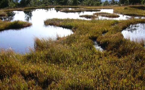 �����x/�L��c��E�r��