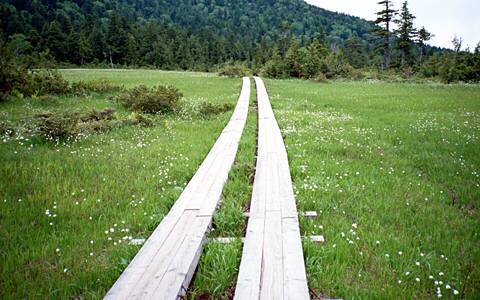 �����x/��c��