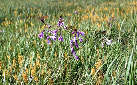 �����x��c��E�R�o�M�{�E�V�E�L���R�E�J