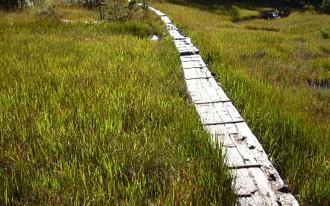 �����x/���c��