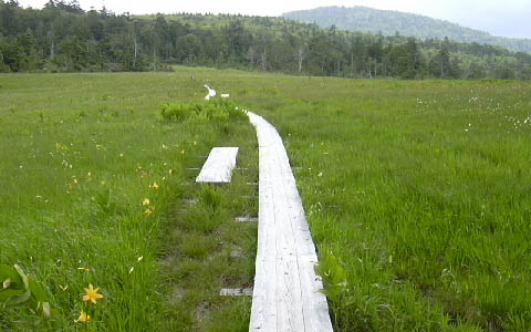 ������/������c��