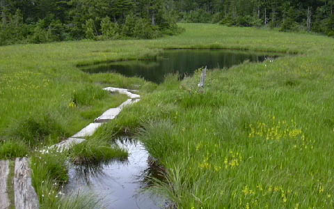 ������/������c�� �r��