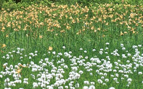 ��~����/���^�X�Q�E�j�b�R�E�L�X�Q