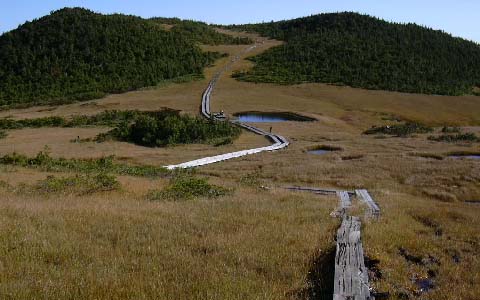 �����x/�F��c��