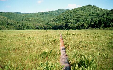 �{������