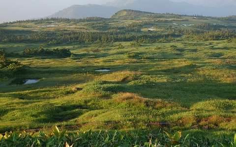 �c��R/���Ă��̎���