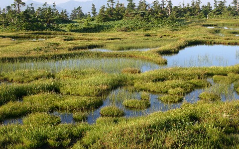 �c��R/�r���E�~���}�z�^���C