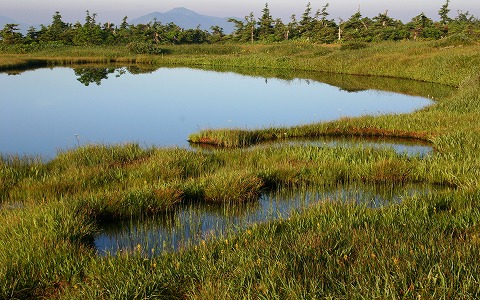 �c��R/�r���E�~���}�z�^���C�E���E�Z���S�P