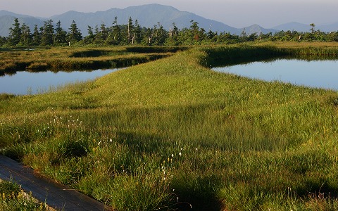 �c��R/�r��