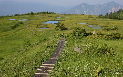 �c��R/�؏�