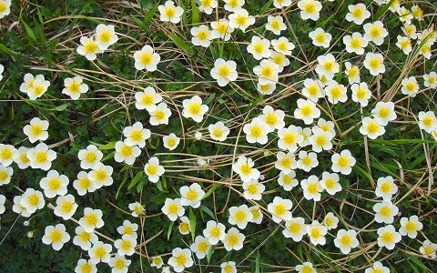 �c��R/�`���O���}