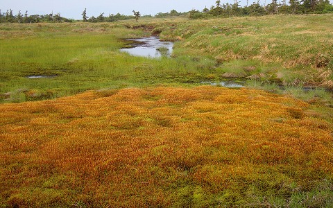 �c��R/�R�P