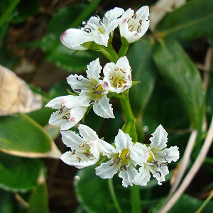 �c��R/�C���C�`���E