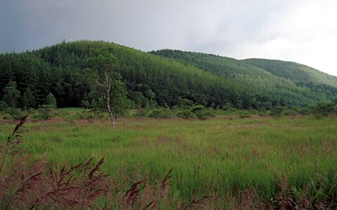 �刢������