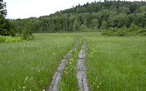 ������/�吴���c��