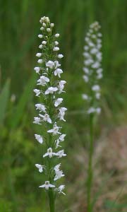 �����������c��E�~�Y�`�h��