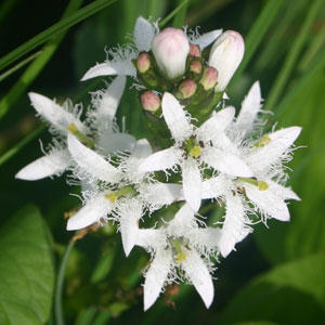 �����������c��E�~�c�K�V��