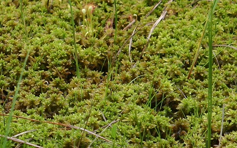 �����������c��E�~�Y�S�P