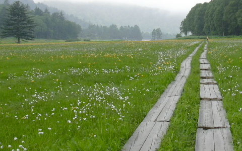 ������/��]���� ���^�X�Q