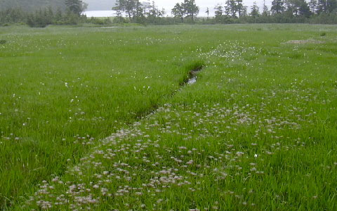 ������/������ ���K�� �`���O���}�̎�