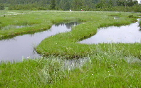 ������/������ ���K�� �r��