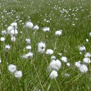 ������/��]���� ���^�X�Q