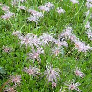 ������/������ ���K�� �`���O���}�̎�