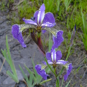 ������/������ ���K�� �q�I�E�M�A����