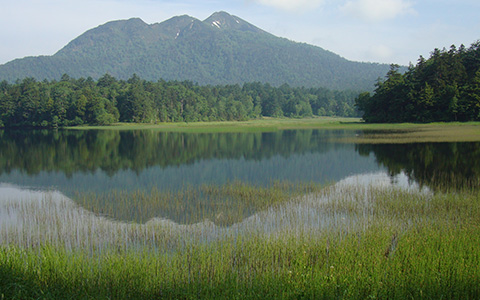 ������/�����x