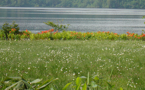 ������/���^�X�Q �����Q�c�c�W