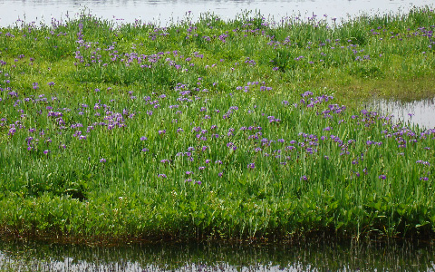 ������/�J�L�c�o�^