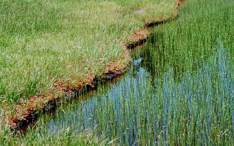 �������/���E�Z���S�P�E�~���}�z�^���C