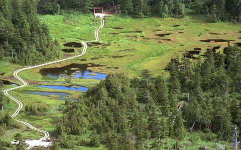 �u�ꍂ��/�l�\���r