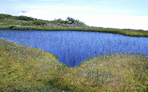 �ՖюR/���^�X�Q�E�~�Y�S�P�E���E�Z���S�P