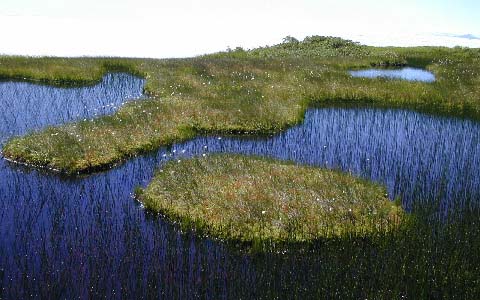 �ՖюR/�r���E�~���}�z�^���C